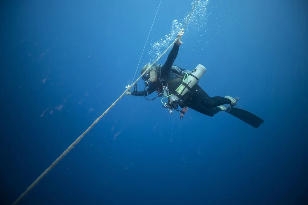  In a strong current, Kadison uses the trap line to ascend down to 150’. 