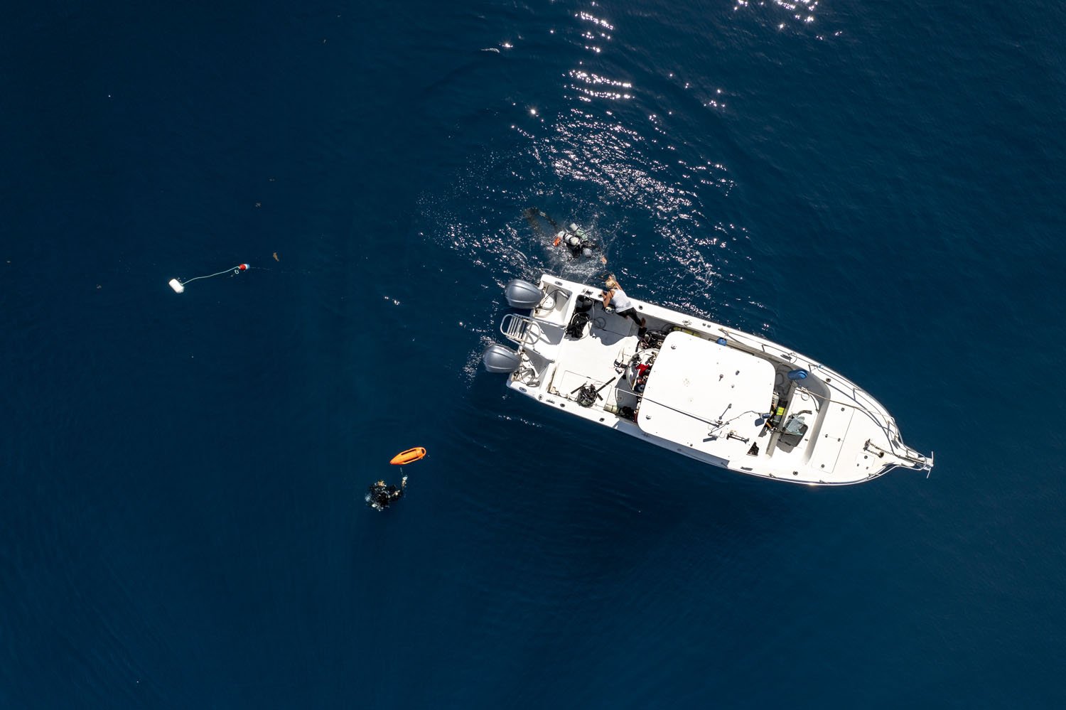  Executing these missions require a highly skilled team. Proficiency as a boat operator, technical diver, biologist, and supportive team player are crucial elements to ensuring a smooth and safe operation. 