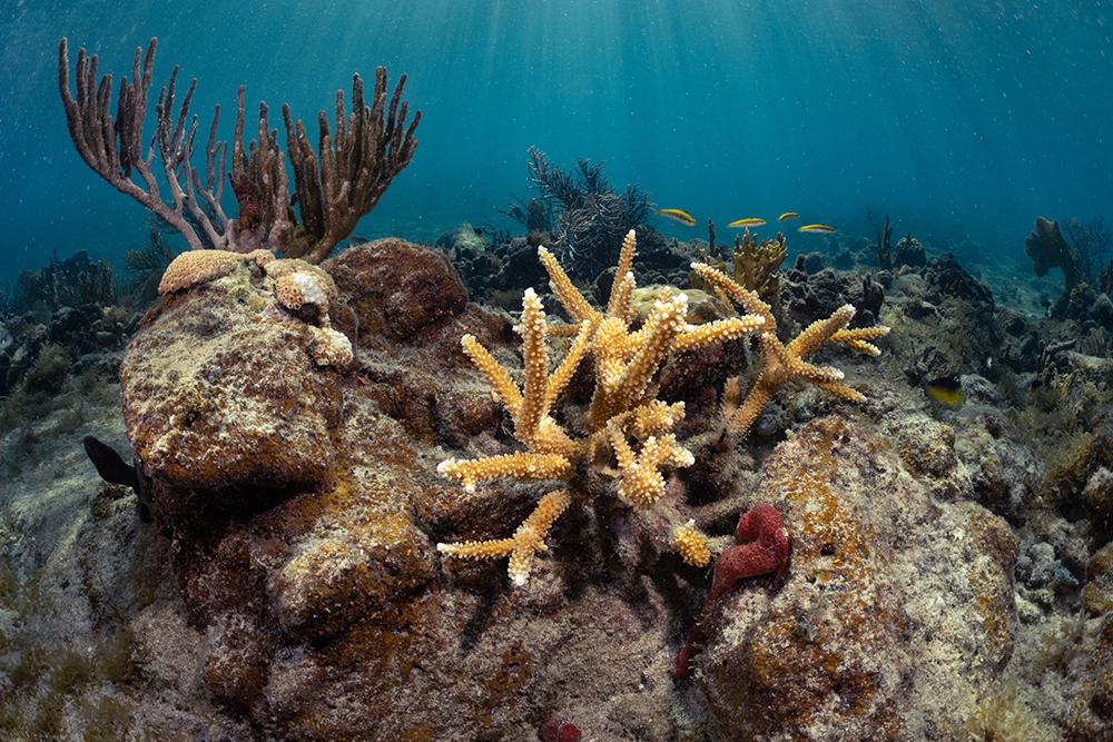 _D5A0201 optimized.png