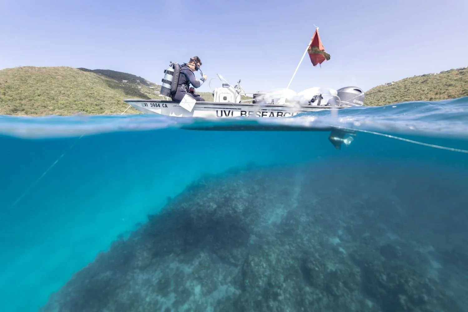 VICAR Image -01.jpeg