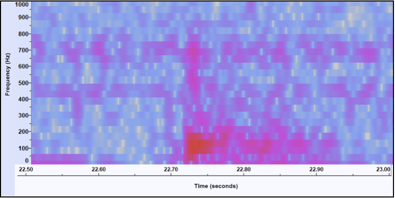 Spectrogram of Parrotfish Spawning