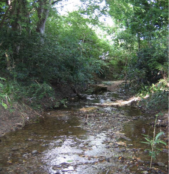 Watercourses as Landscapes in the USVI