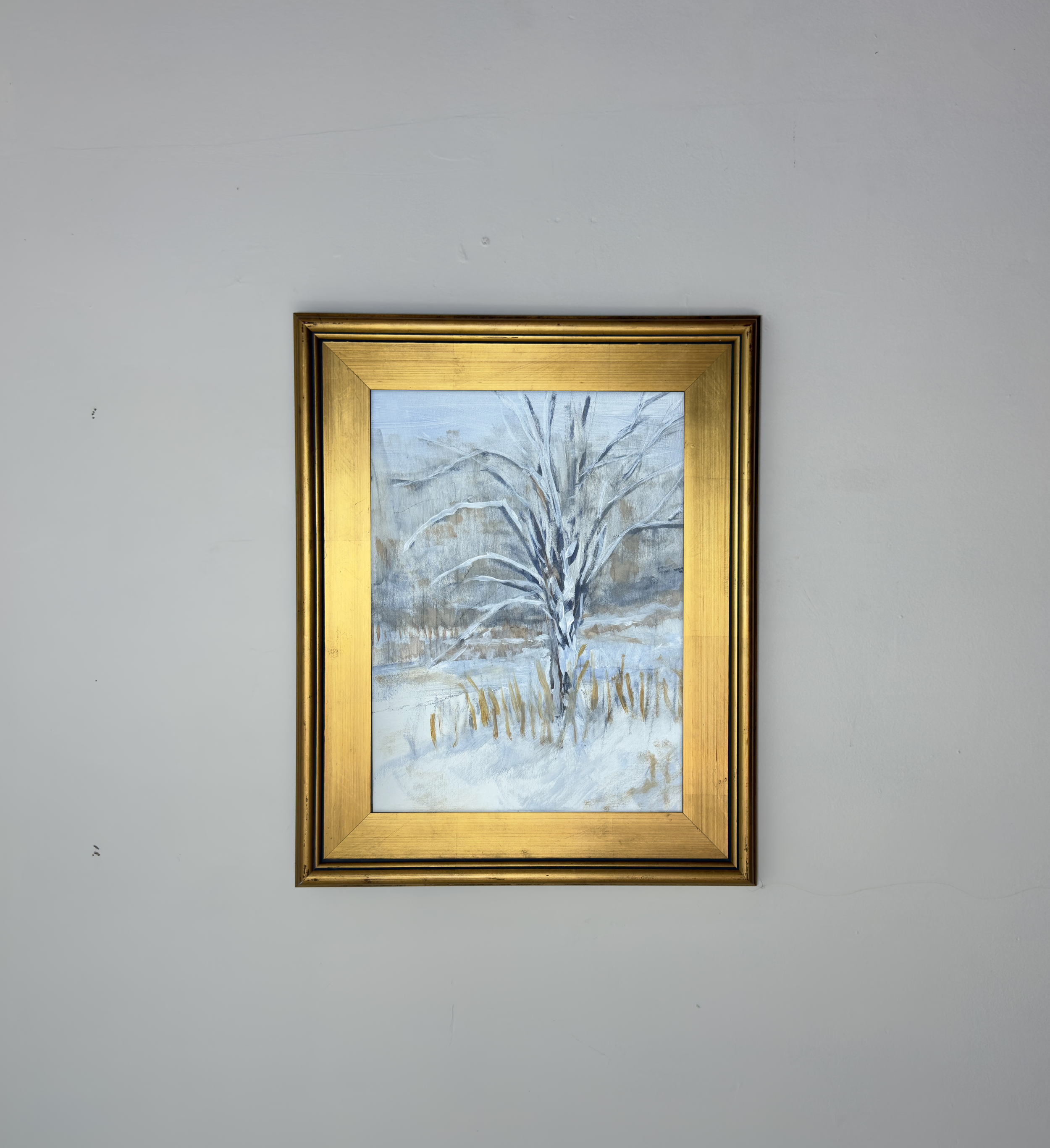 First Vermont Snowfall 2025