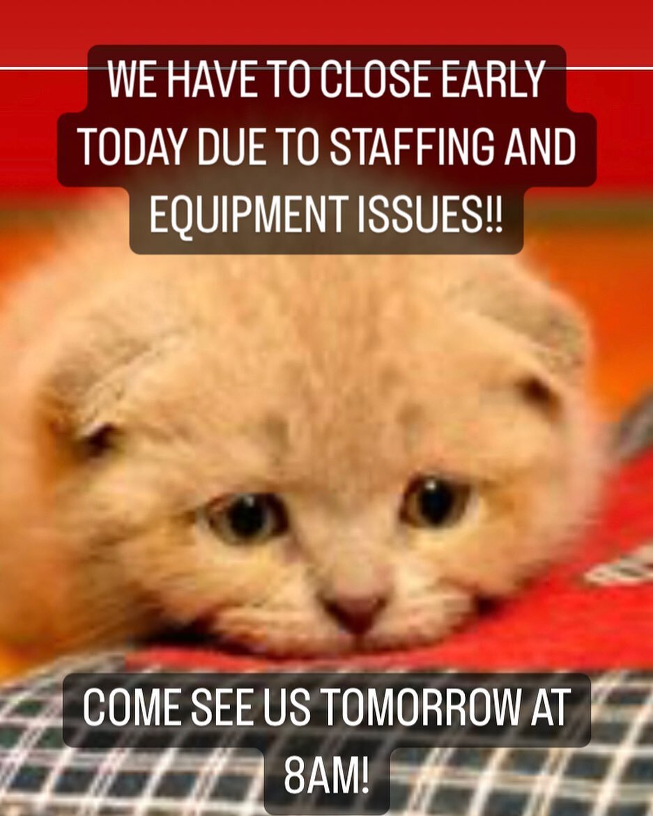 Today is not our day folx! We will be back at it at 8am tomorrow, come see us!