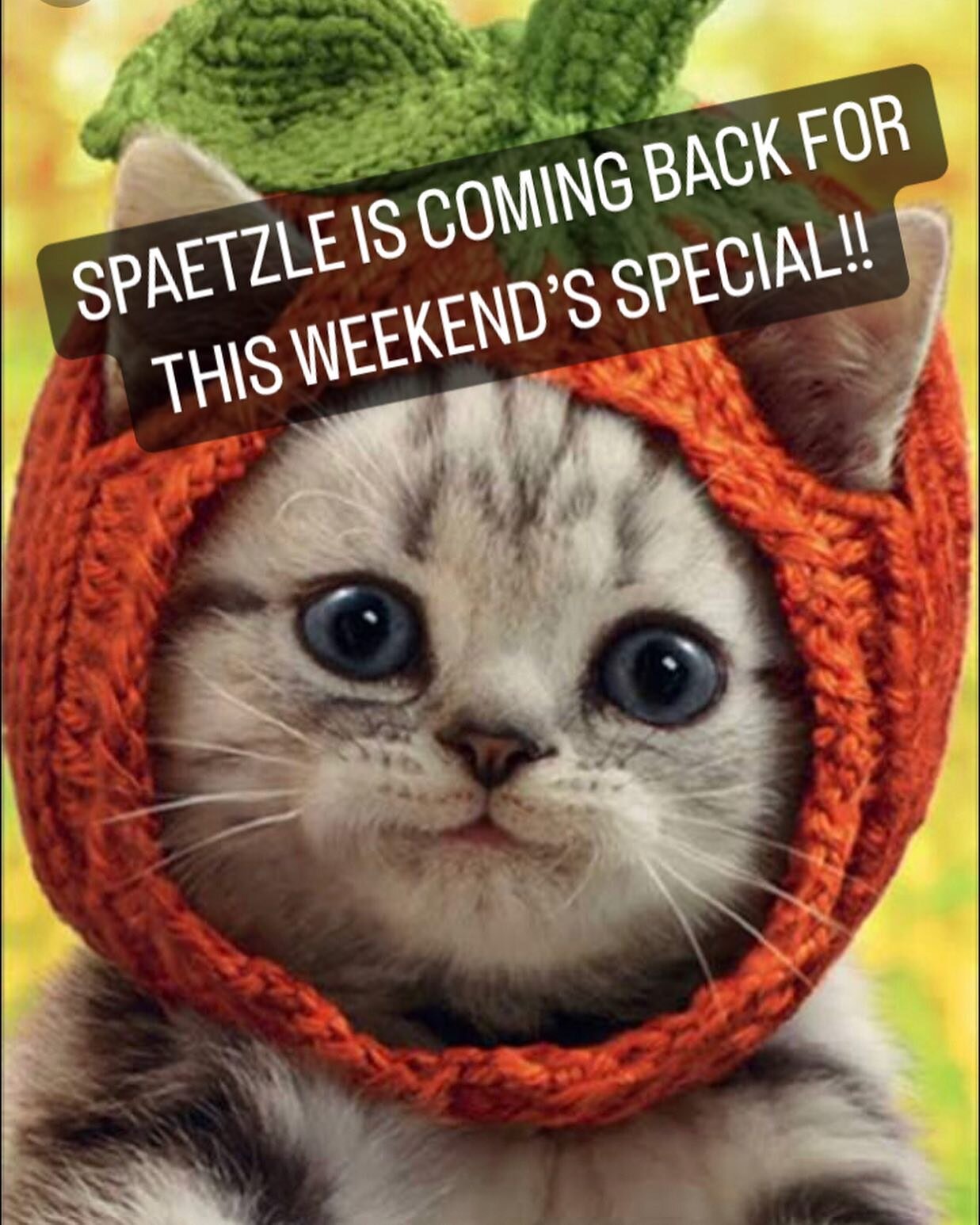 SPAETZLE IS BACK THIS WEEKEND!! One of our most requested dishes is making a comeback fresh pesto style, delicious and vegetarian!! Come see us 8am-1pm and don&rsquo;t miss out!  #spaetzle#pdxfood#pdxfoodie#fressenpdx#eaterpdx#pdxeater#brunch#brunchs