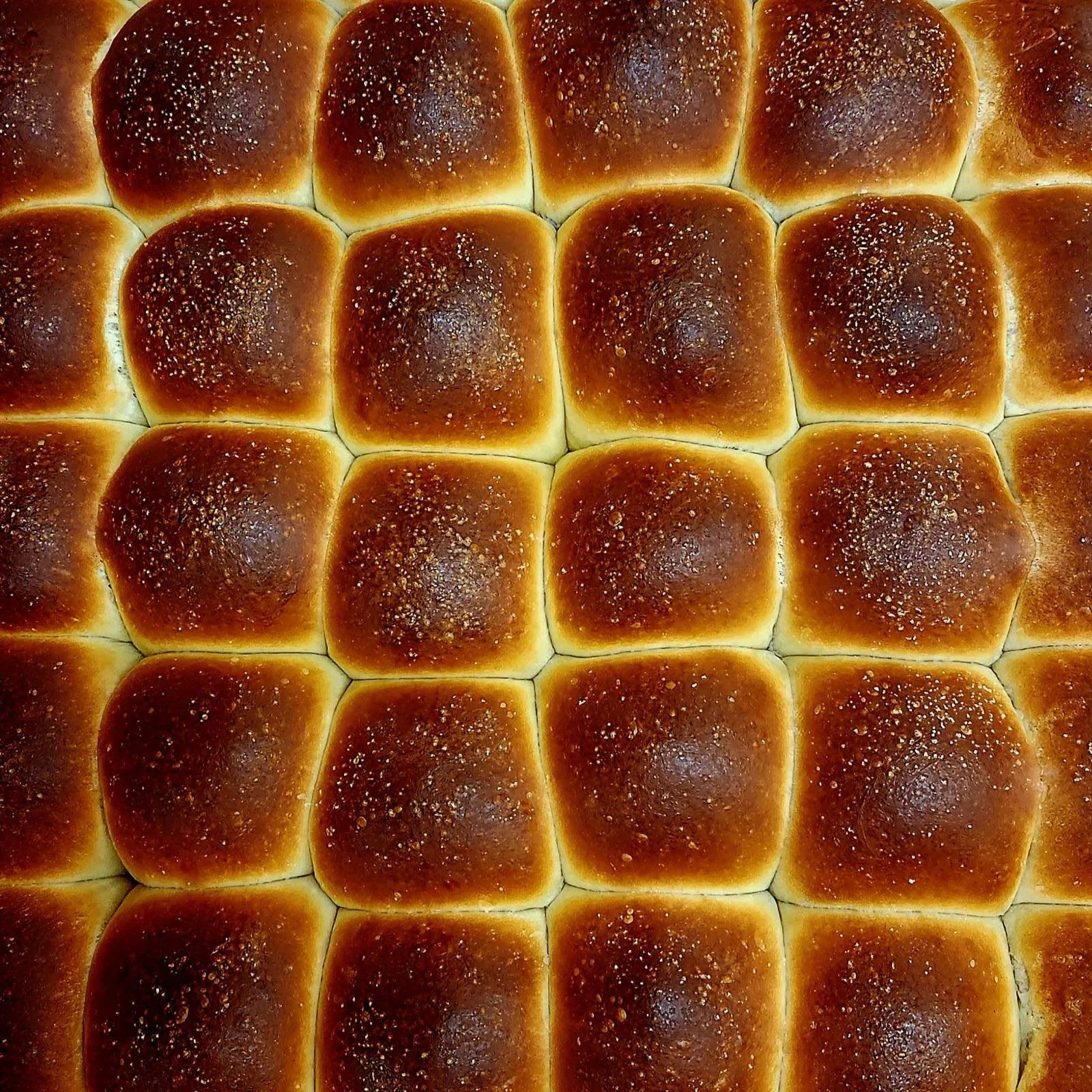 Parker Rolls.jpg