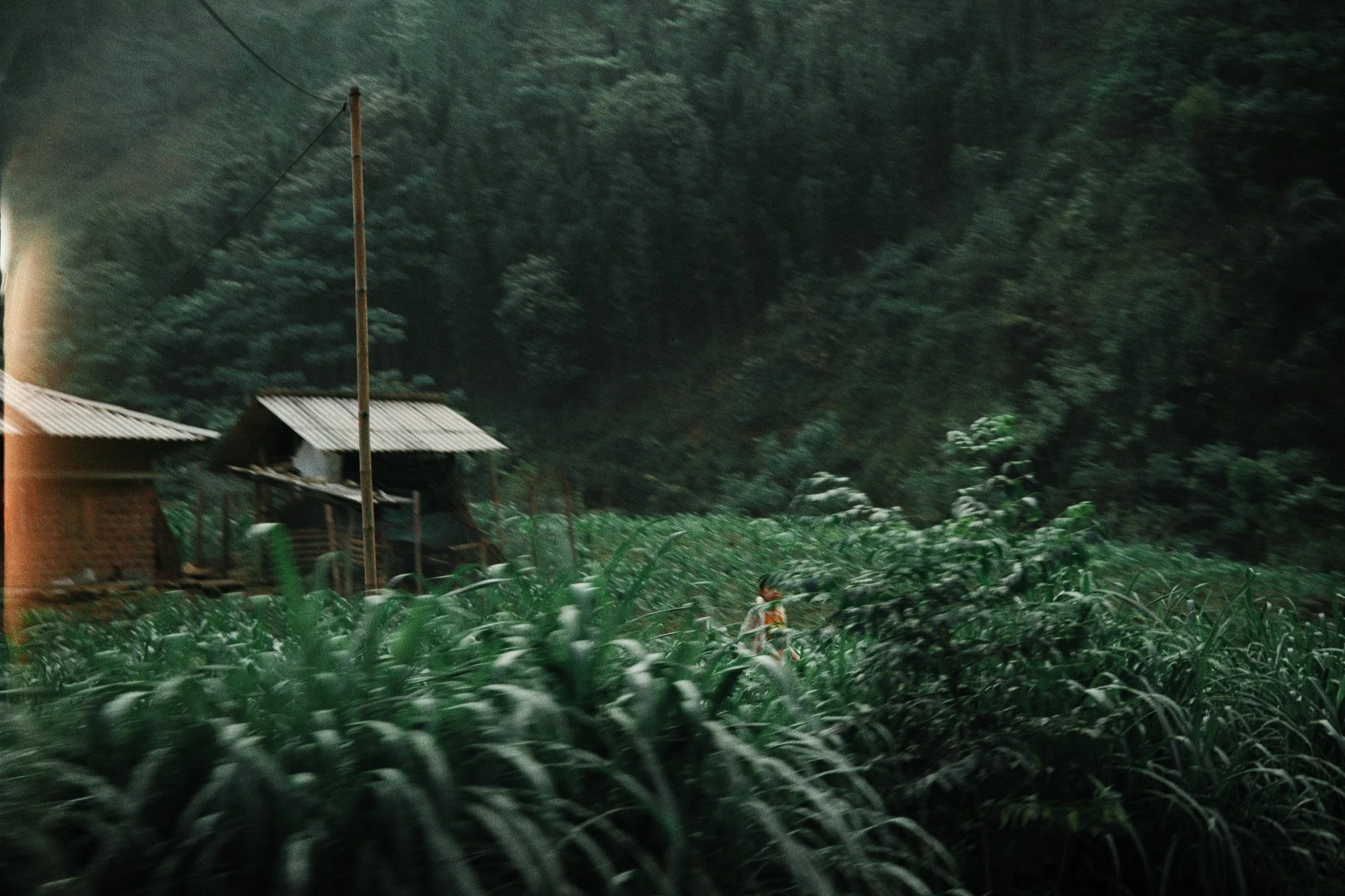 viet edit color_2.2.1.jpg