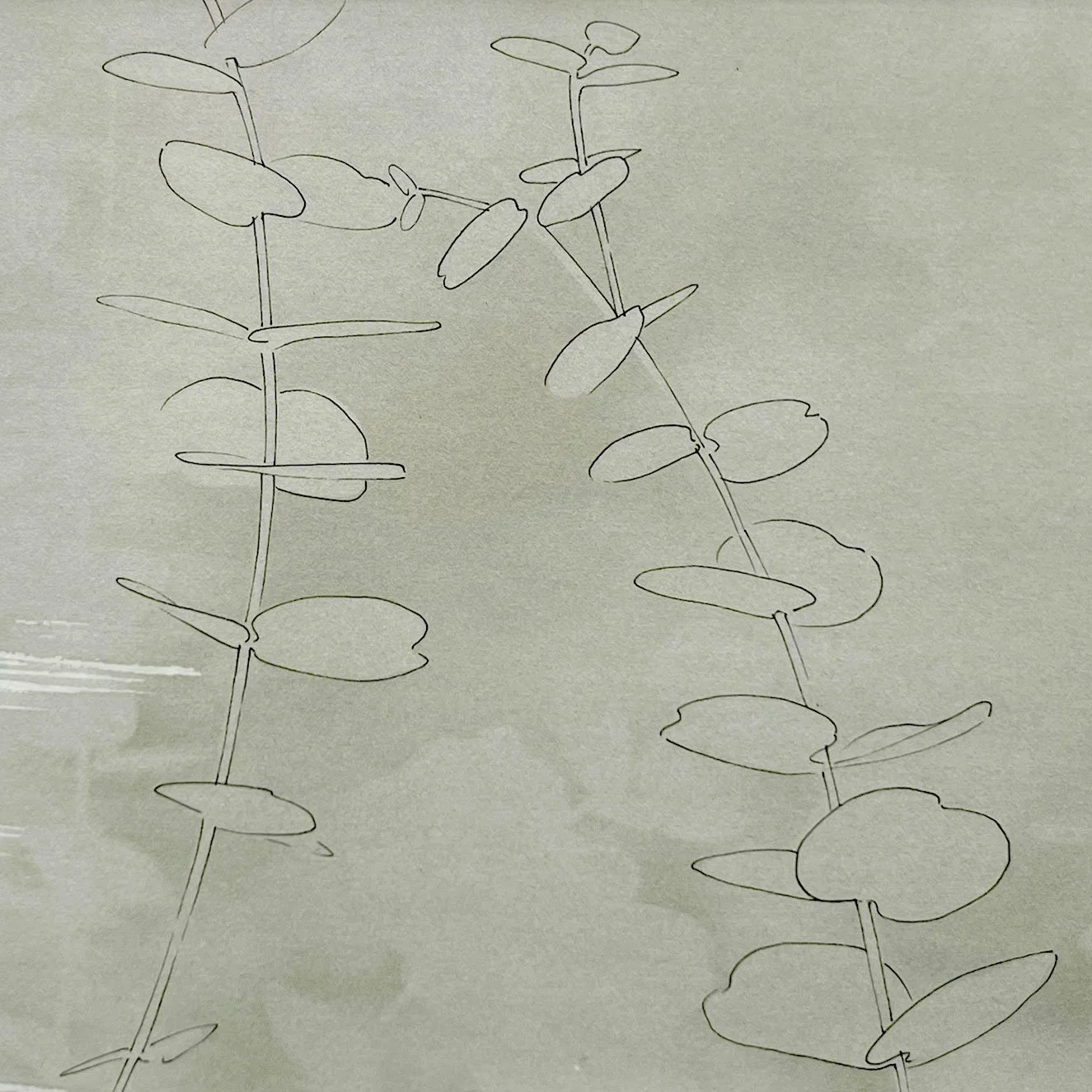 34-Eucalyptus-study_15x20cm-web-crop.jpg