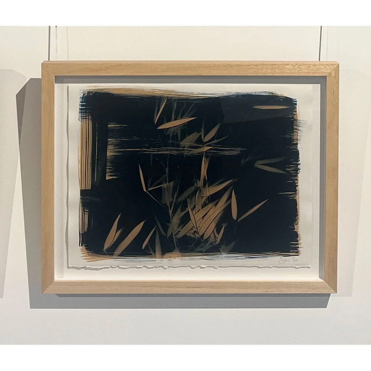 botanical-frame-2-web.jpg