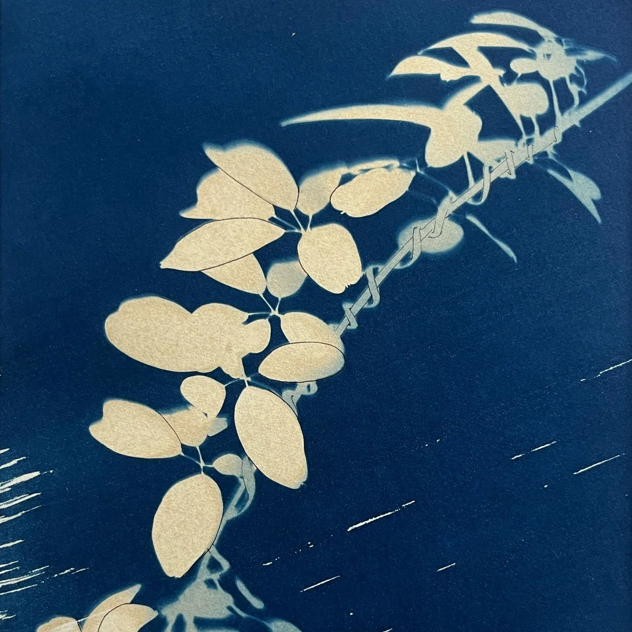 30-Jungle-series_20x15cm-crop-web.jpg