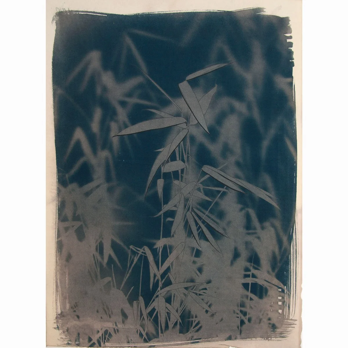 Bamboo_38x28cm-series_11.jpg