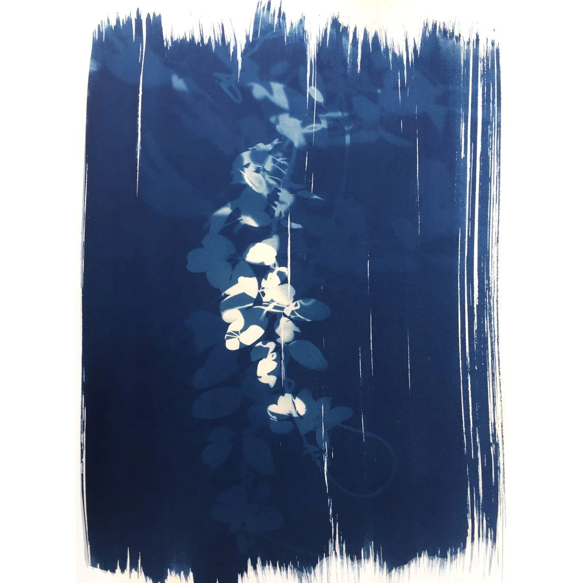 Jungle series