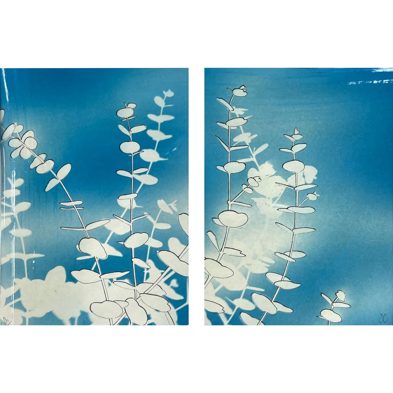 31-Eucalyptus-study-diptych-web.jpg