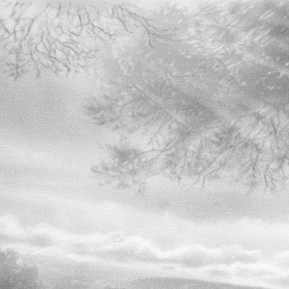 detail2-web.jpg