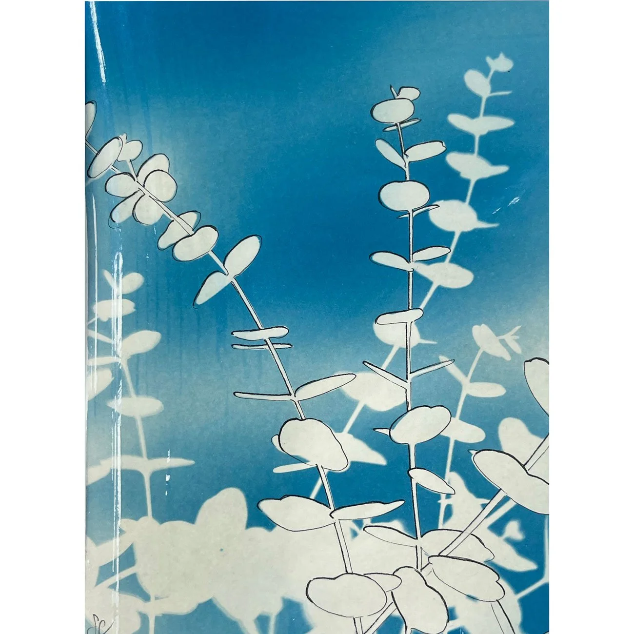 31-Eucalyptus-study-1-web.jpg