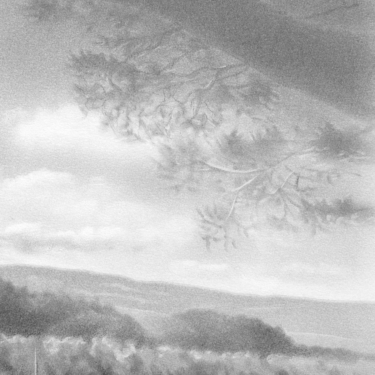 detail3-web.jpg