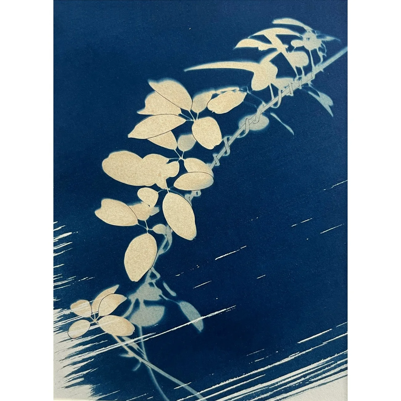 30-Jungle-series_20x15cm-web.jpg