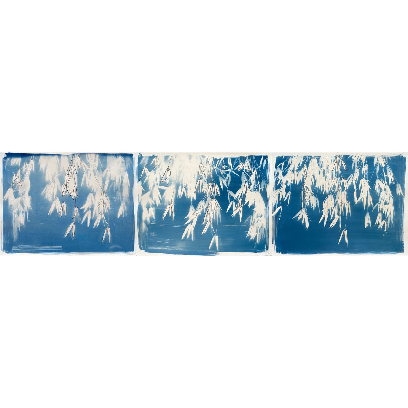 01-Natures-canopy-triptych-web.jpg