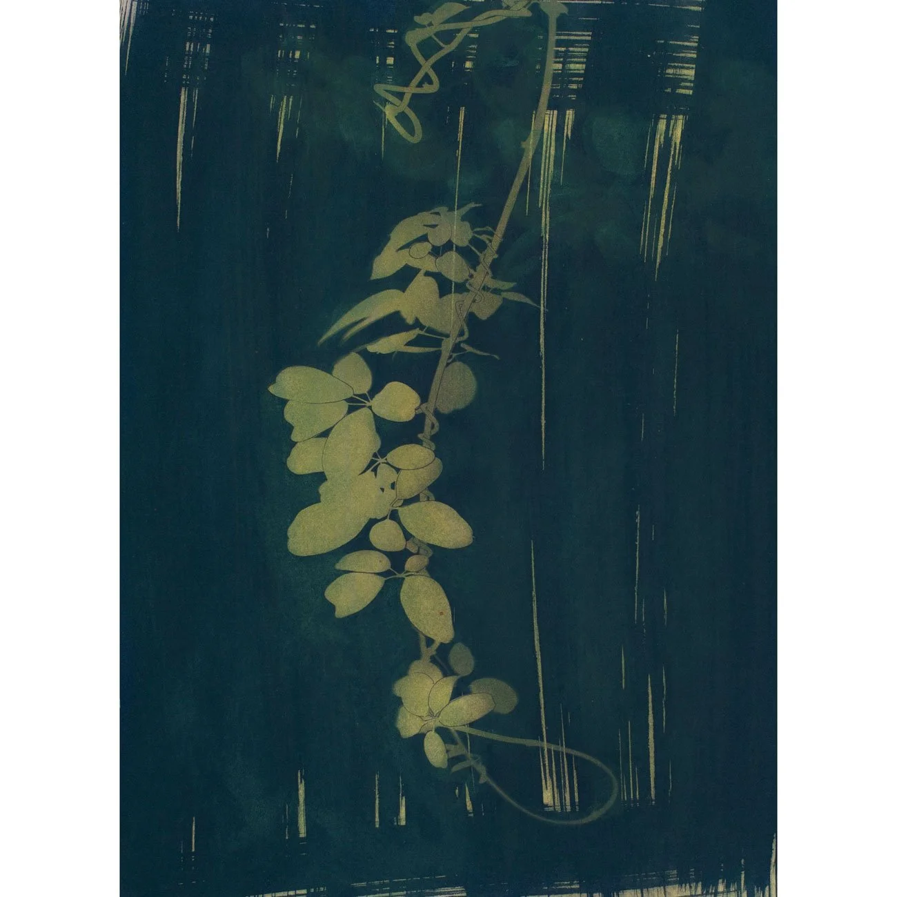 Jungle series