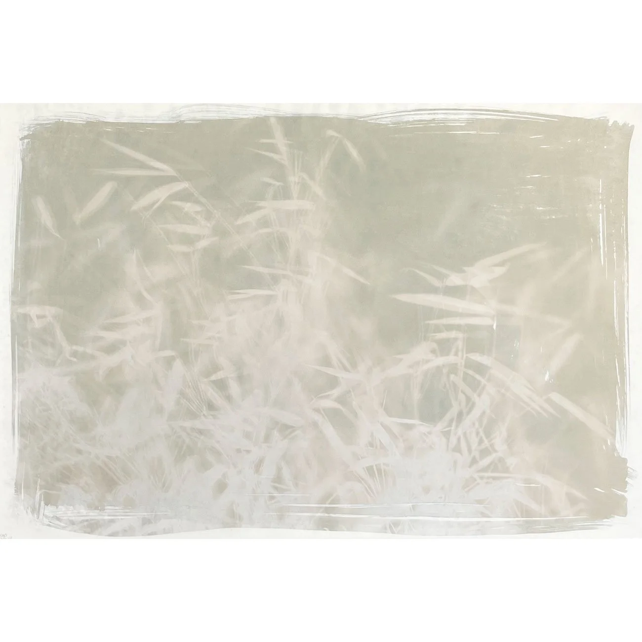 14-Bamboo-memories-55x37cm-web.jpg