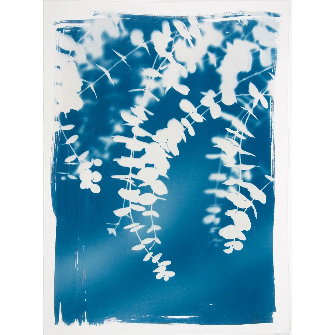 13-Eucalyptus-diptych-right-web.jpg