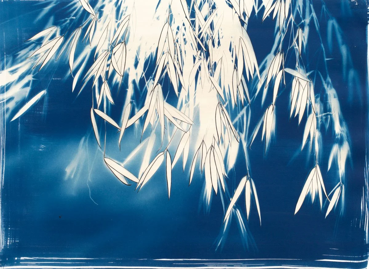 bamboo-series_1_crop.jpg