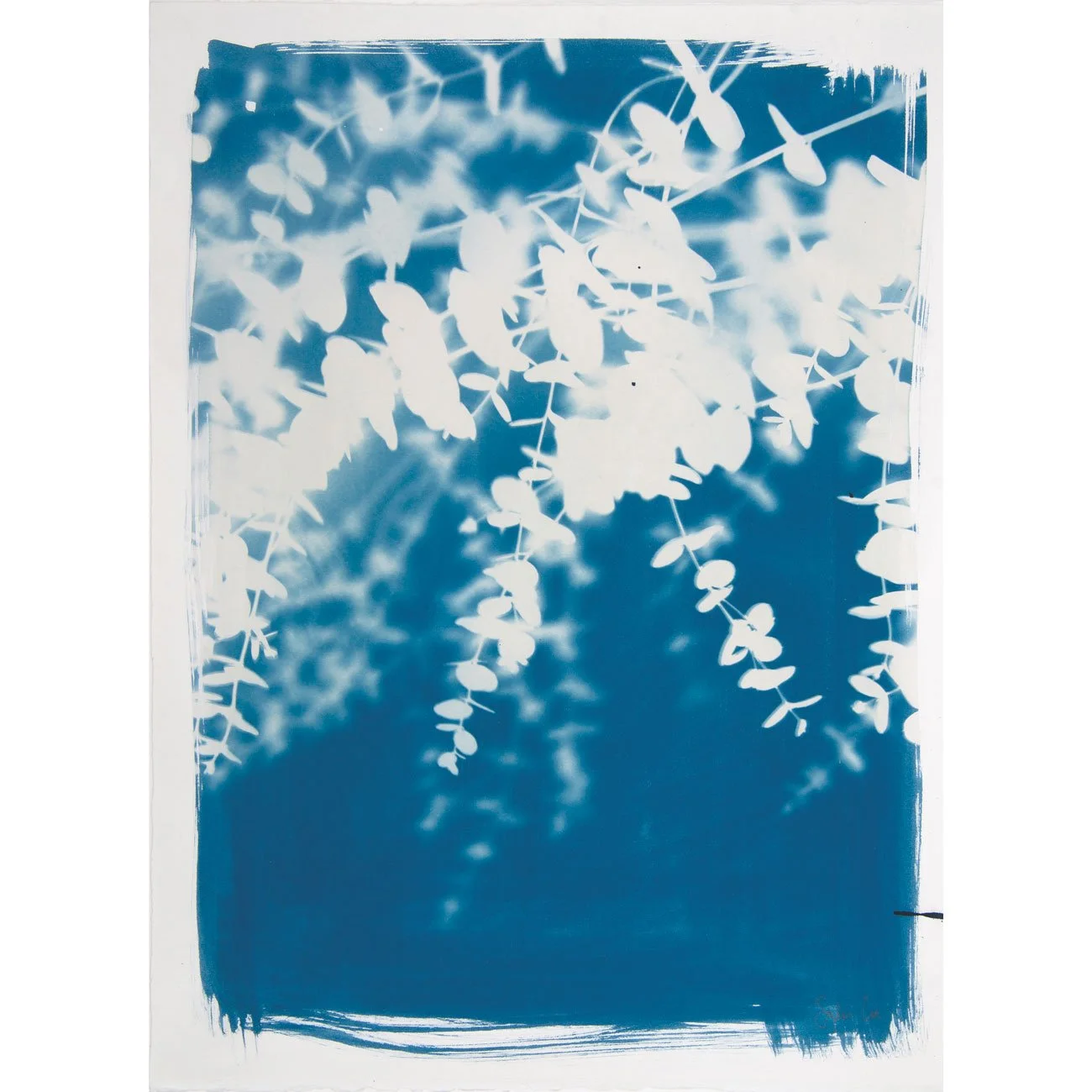 12-Eucalyptus-diptych-left-web.jpg