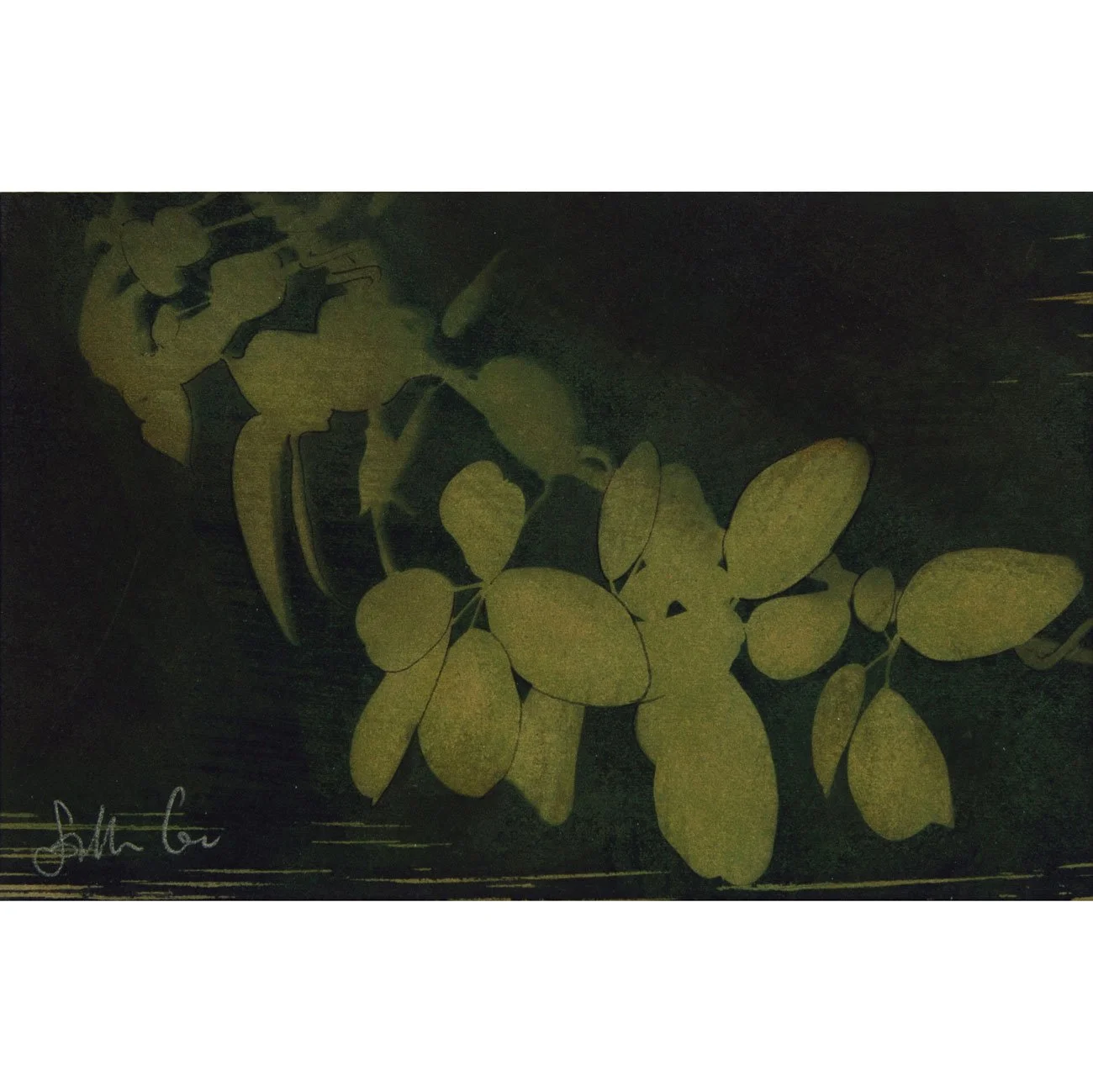 33-Jungle-series_10x15cm-web-crop.jpg