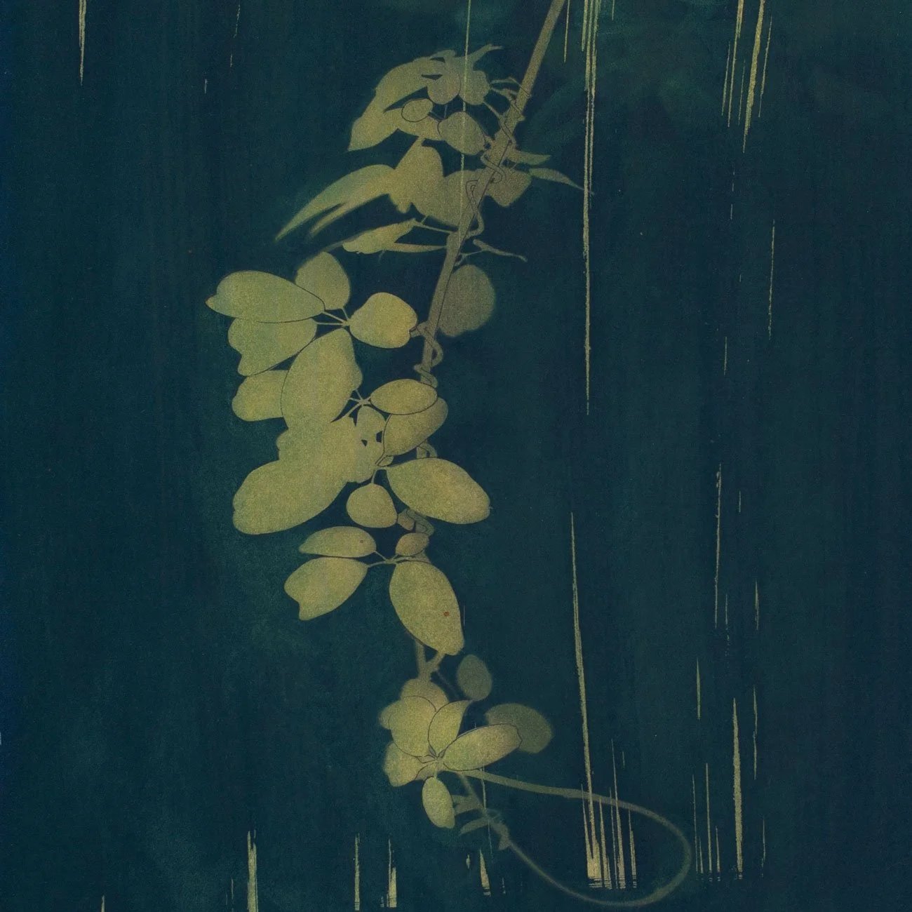 29-Jungle-series-crop-web.jpg