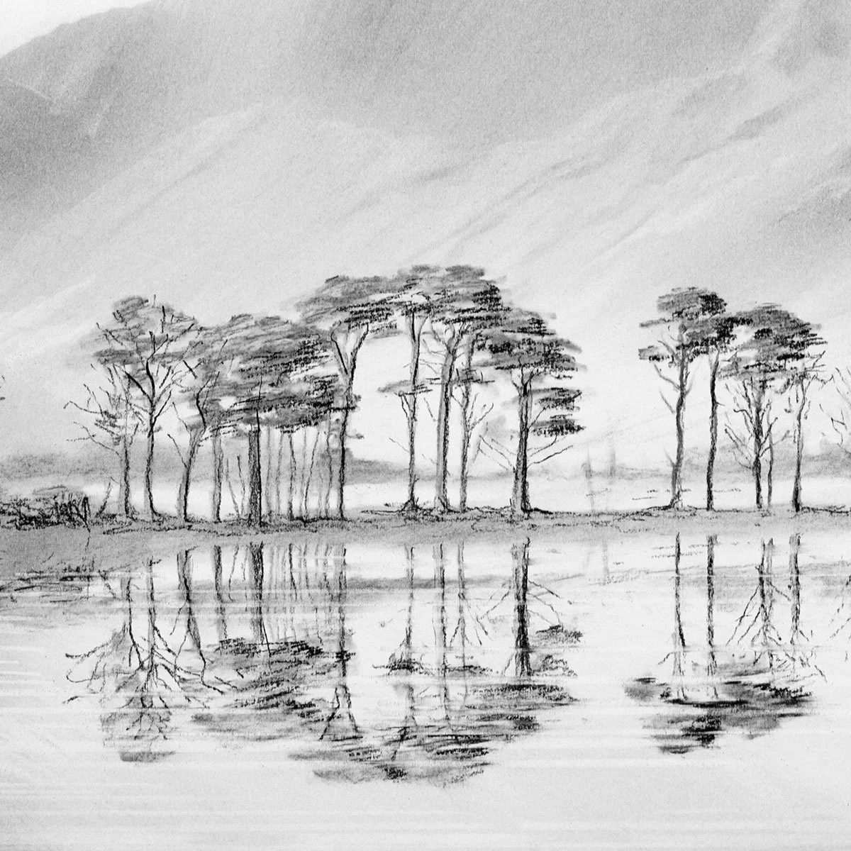 Buttermere-series-5-detail3-web.jpg