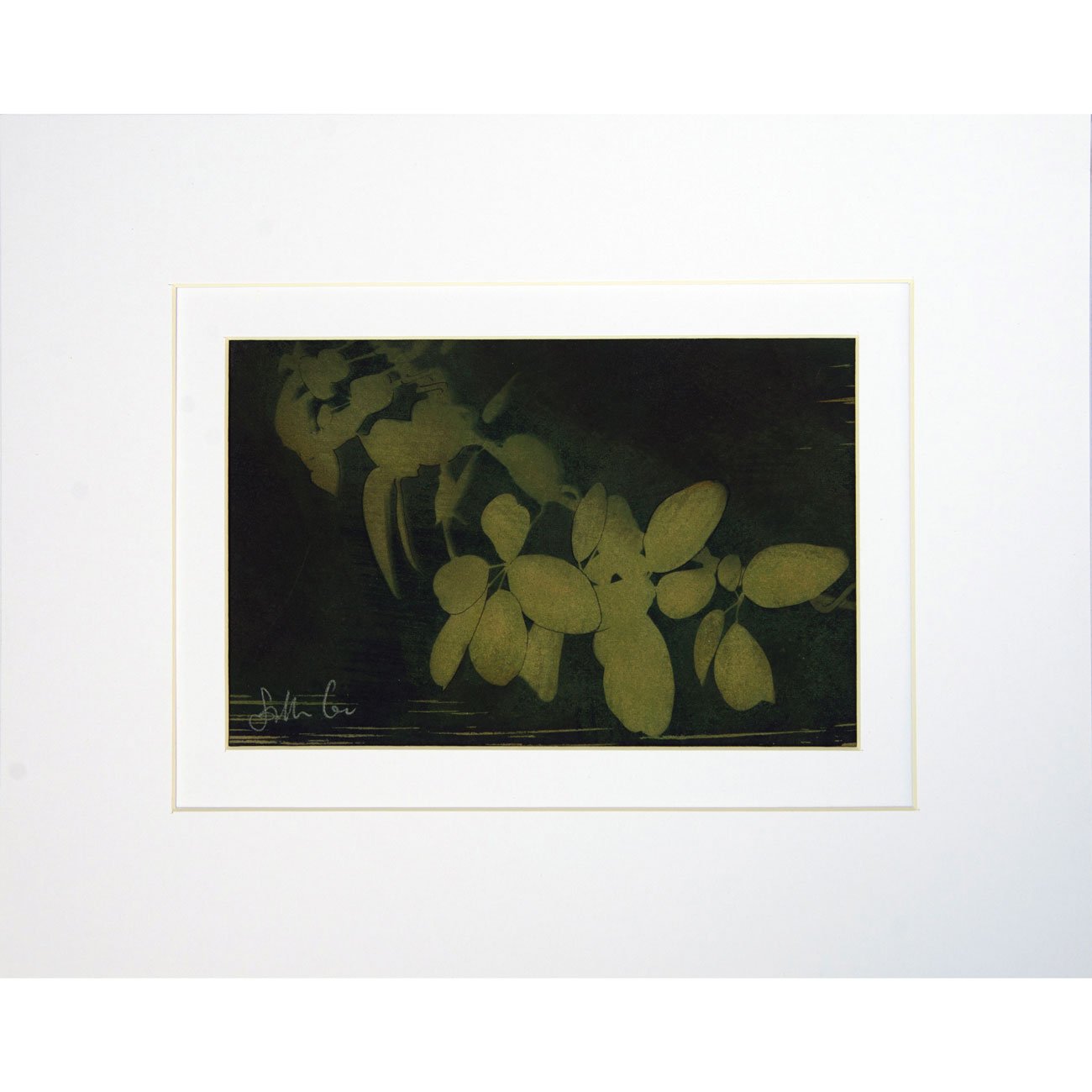 33-Jungle-series_10x15cm-web.jpg