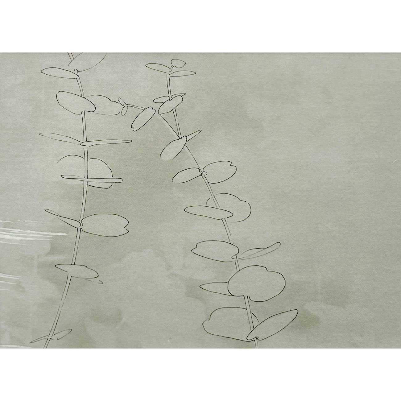 34-Eucalyptus-study_15x20cm-web.jpg