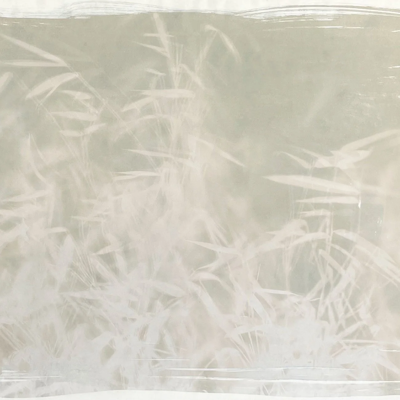 14-Bamboo-memories-55x37cm-web-crop.jpg