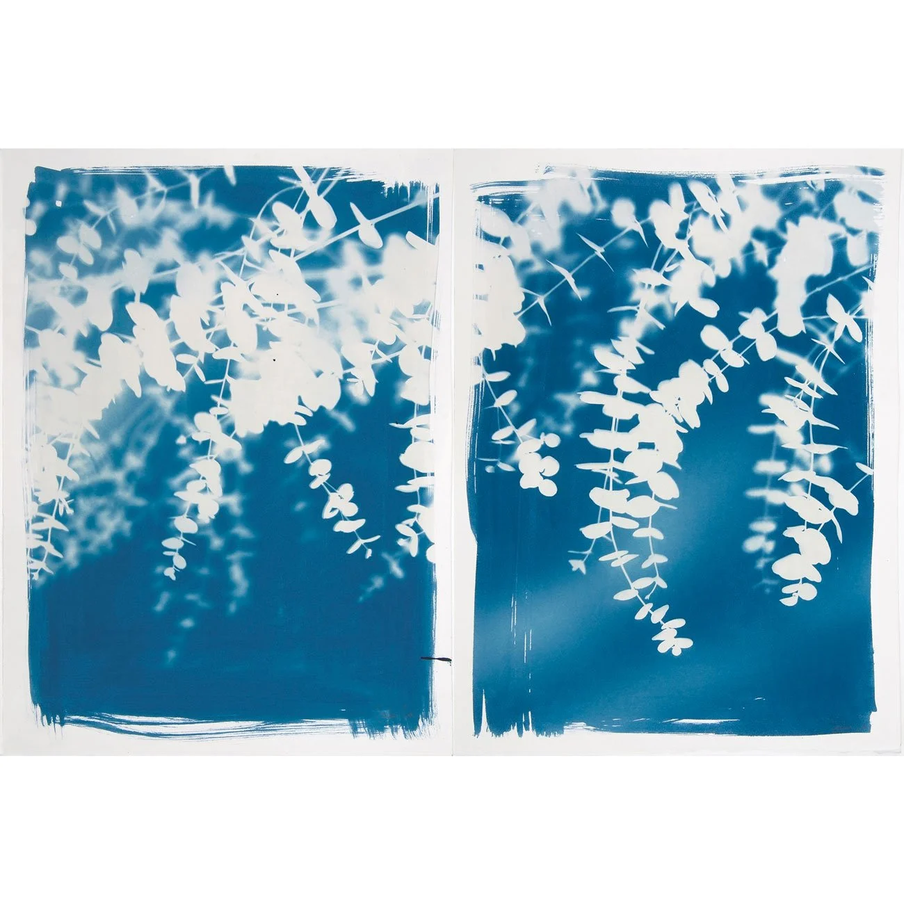 12-Eucalyptus-diptych-web.jpg