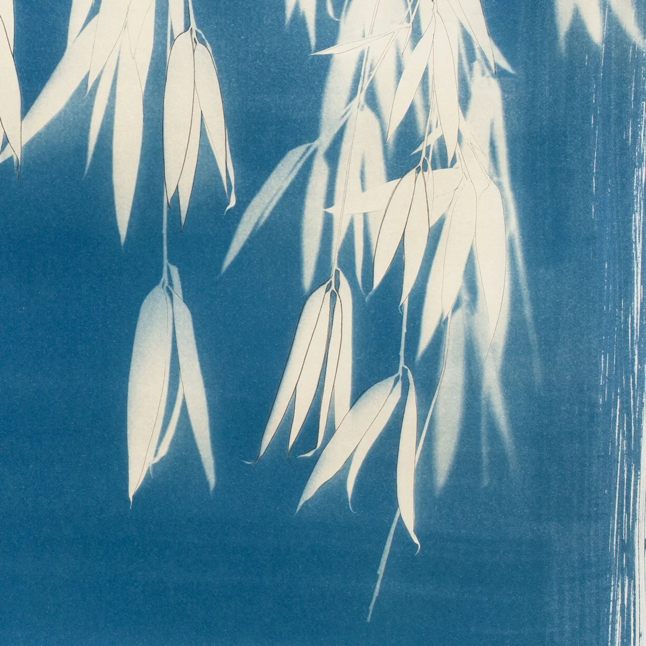03-Natures-canopy-3_760x560mm-detail1-web.jpg