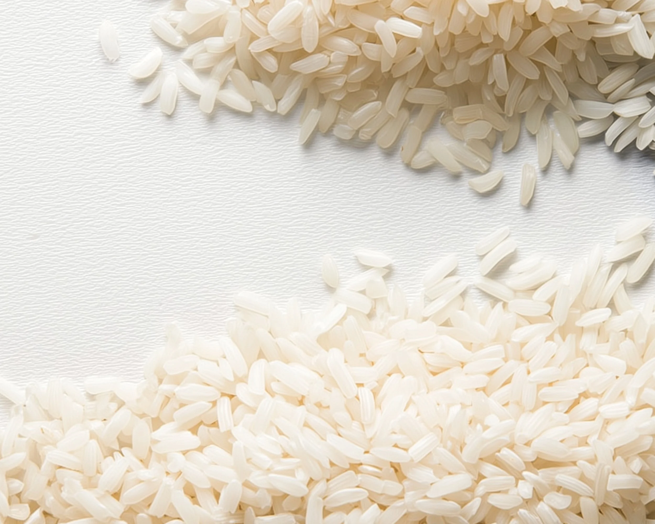 Visuels_Basmati.jpg