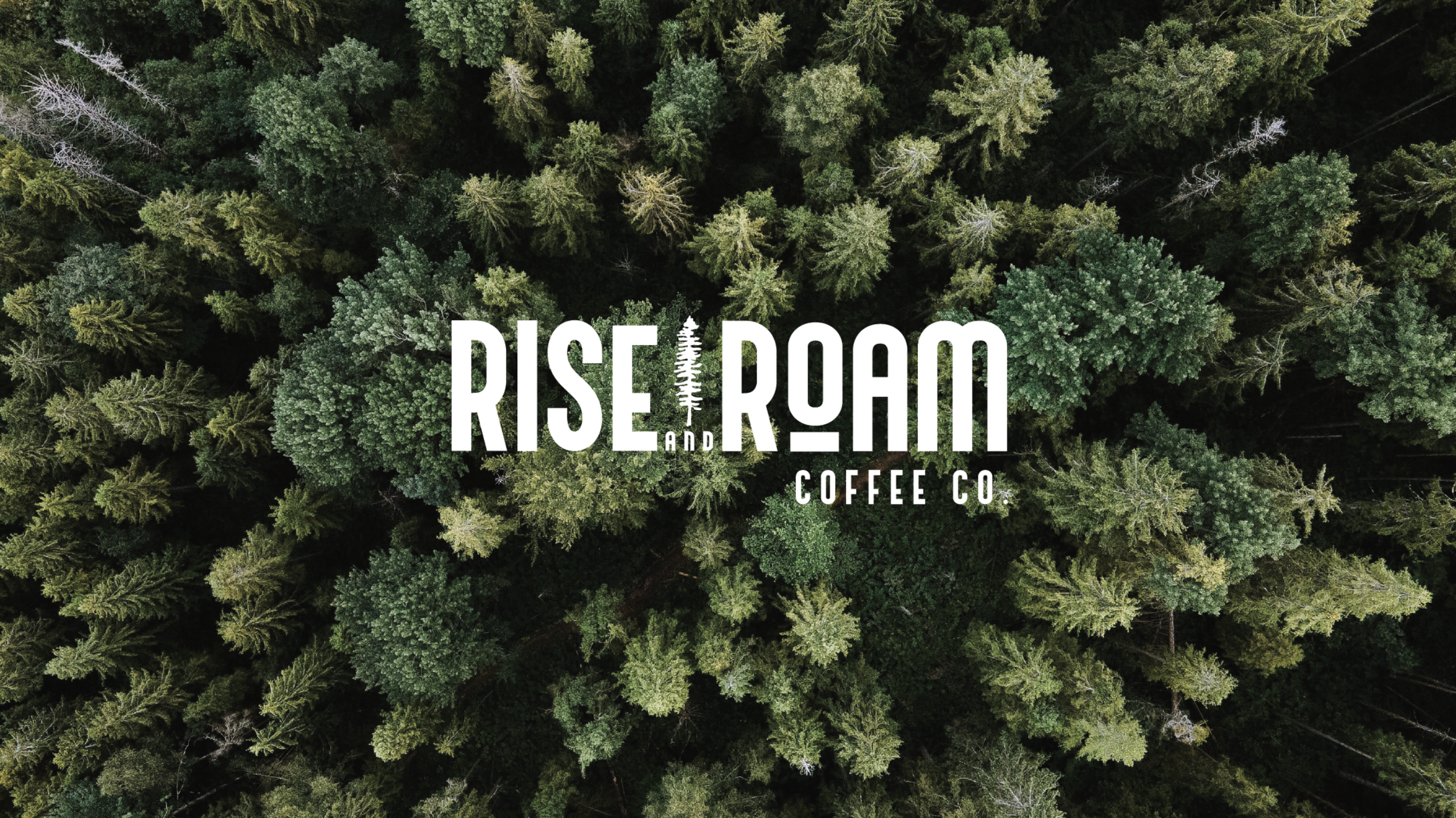 Screenshot 2024-07-21 at 12.38.25 PM.png