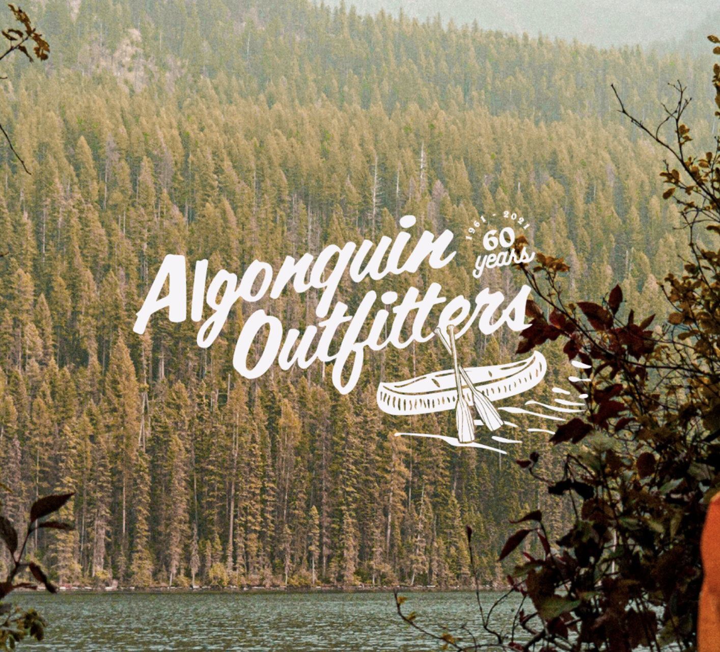 Screenshot 2024-07-21 at 11.58.55 AM.png