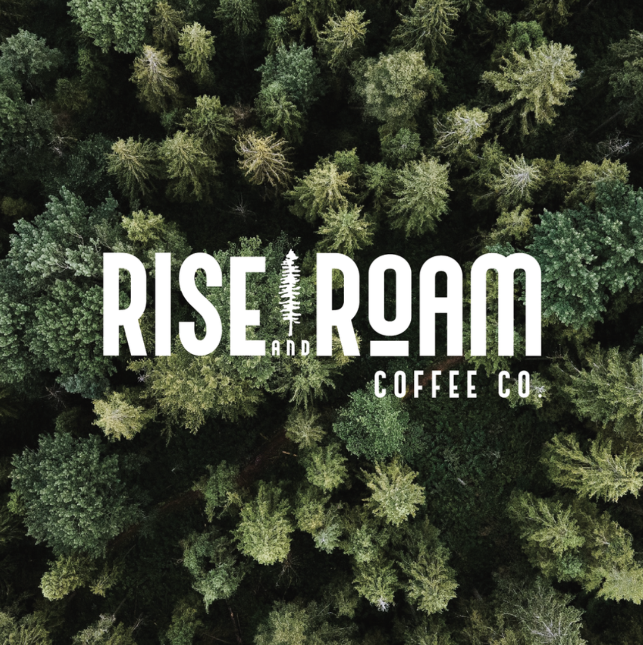 Screenshot 2024-07-21 at 11.40.59 AM.png