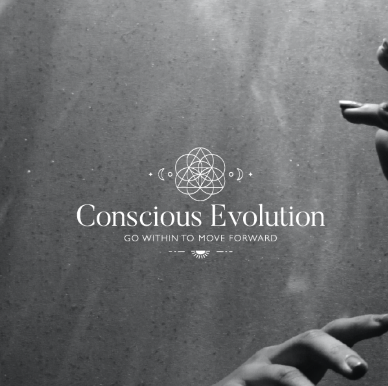 Screenshot 2024-07-21 at 11.58.08 AM.png