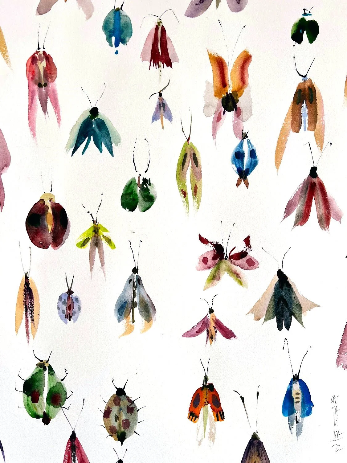 Ilustración de varias mariposas y insectos en acuarela con colores vibrantes sobre fondo blanco.