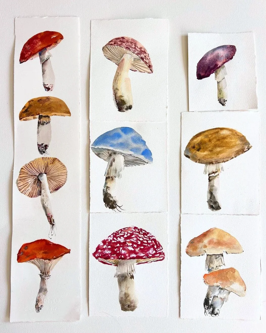 Taller de Otoño en Jaspe