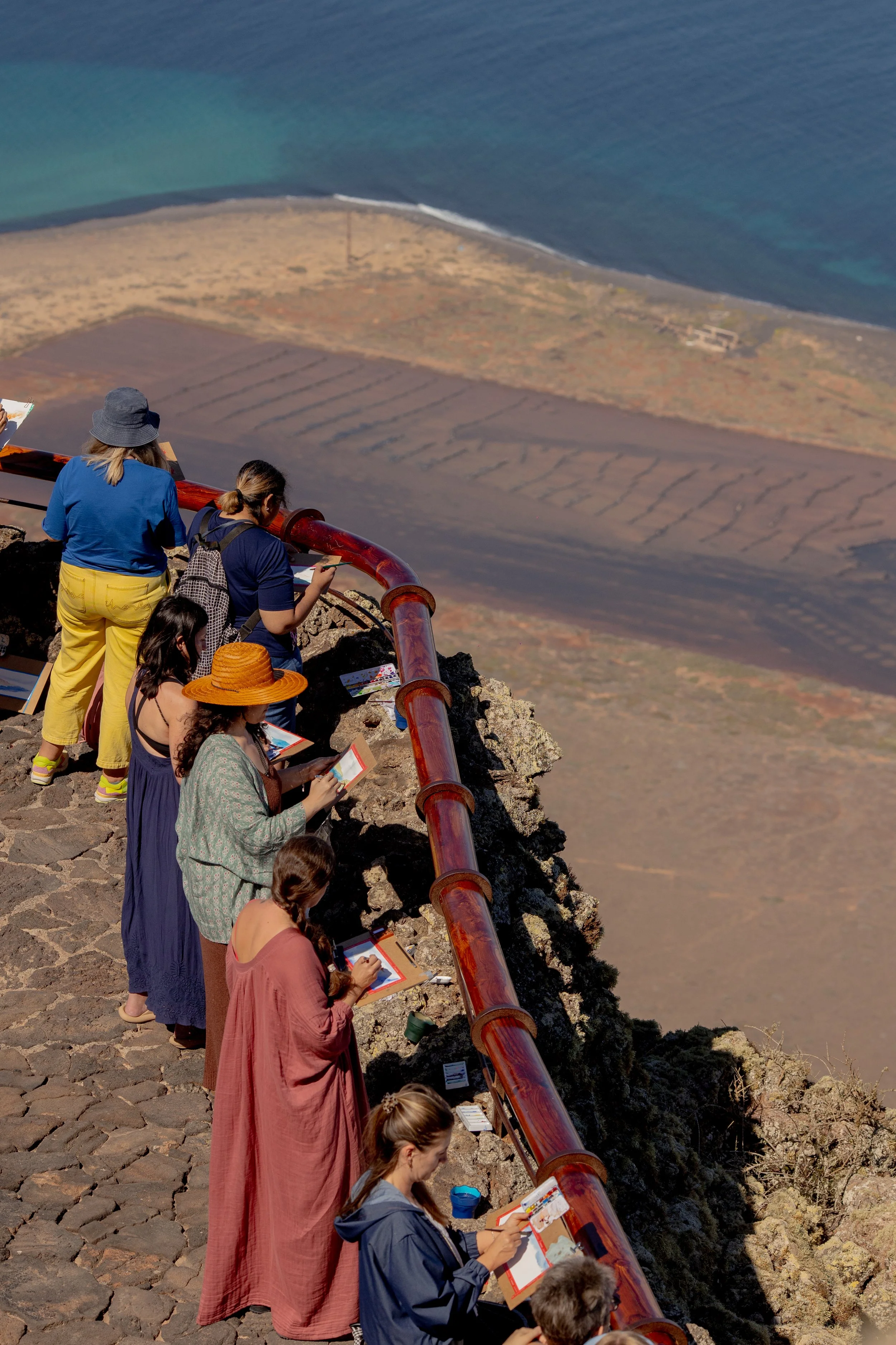 Grupo de personas observando y tomando notas en un mirador con vista al mar y una costa rocosa.