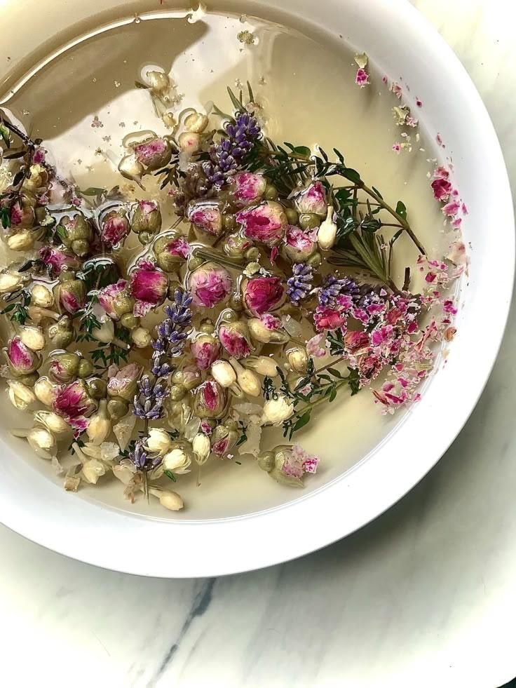 Reconnect with Plant Spirit Wisdom | Holistic Herbal Remedies