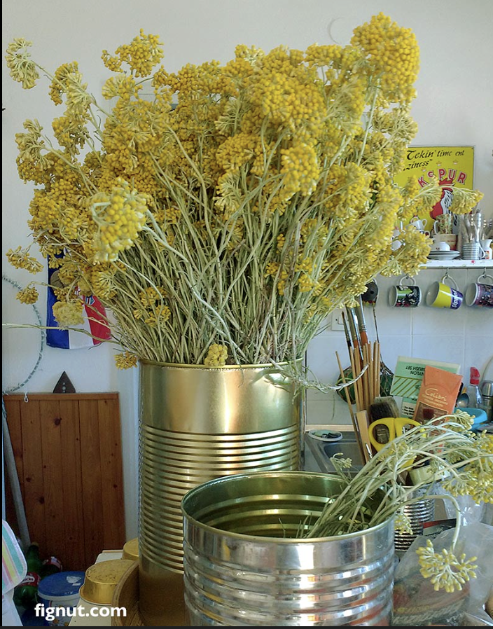 Helichrysum: The Mediterranean Beauty Secret for Skin Healing &amp; Renewal