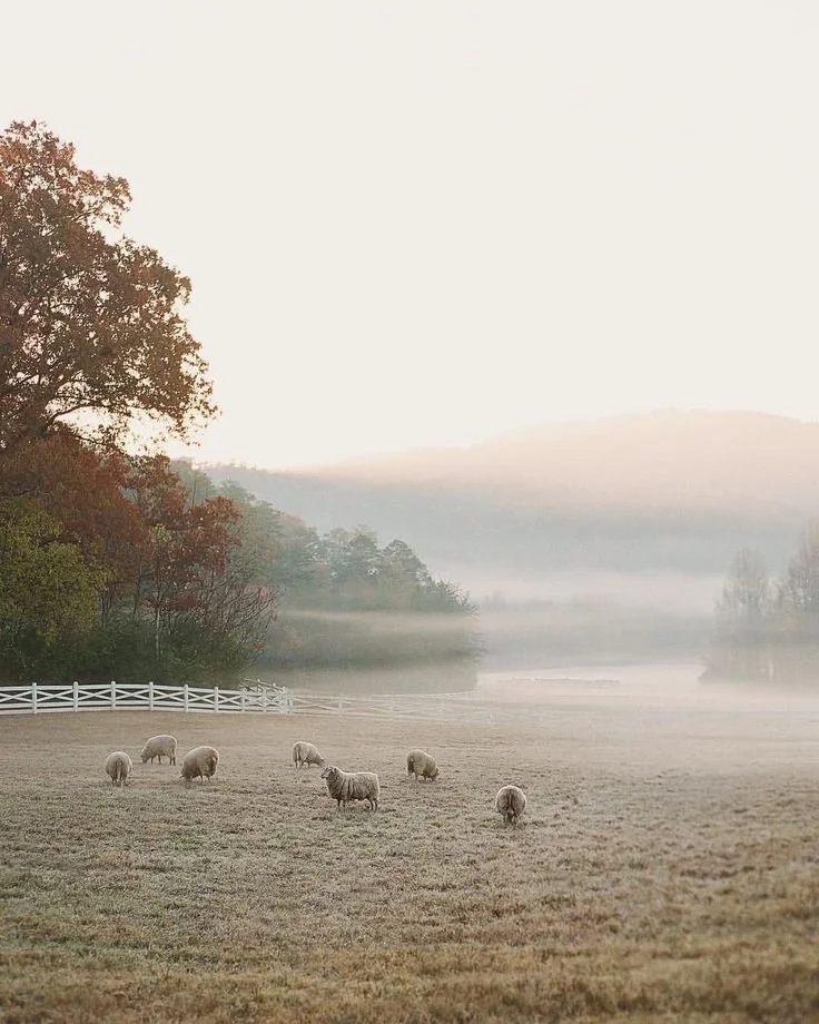 The Magic of Seasonal Transitions: Why You Shouldn’t Rush the Thaw