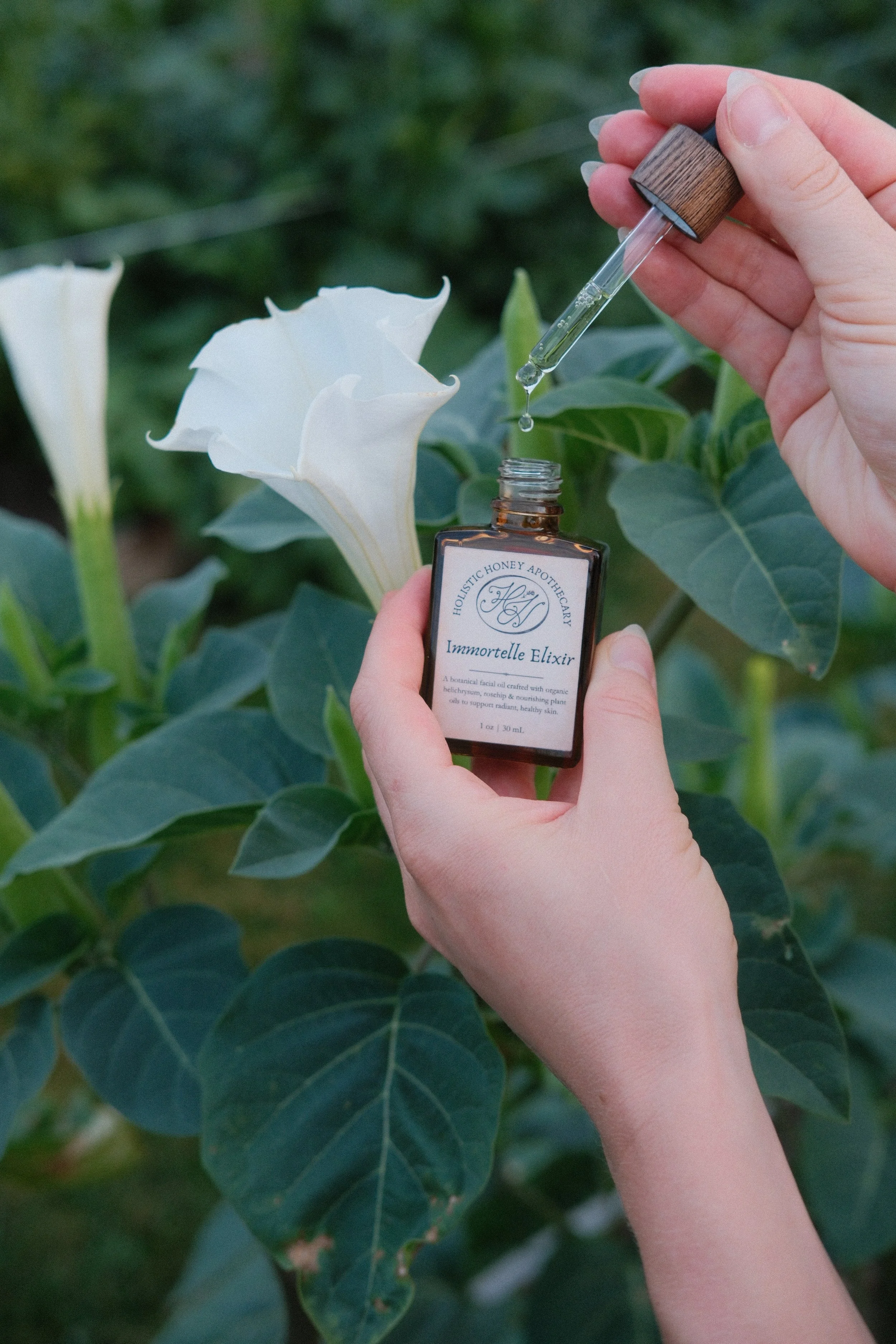 Immortelle Elixir | Botanical Facial Oil