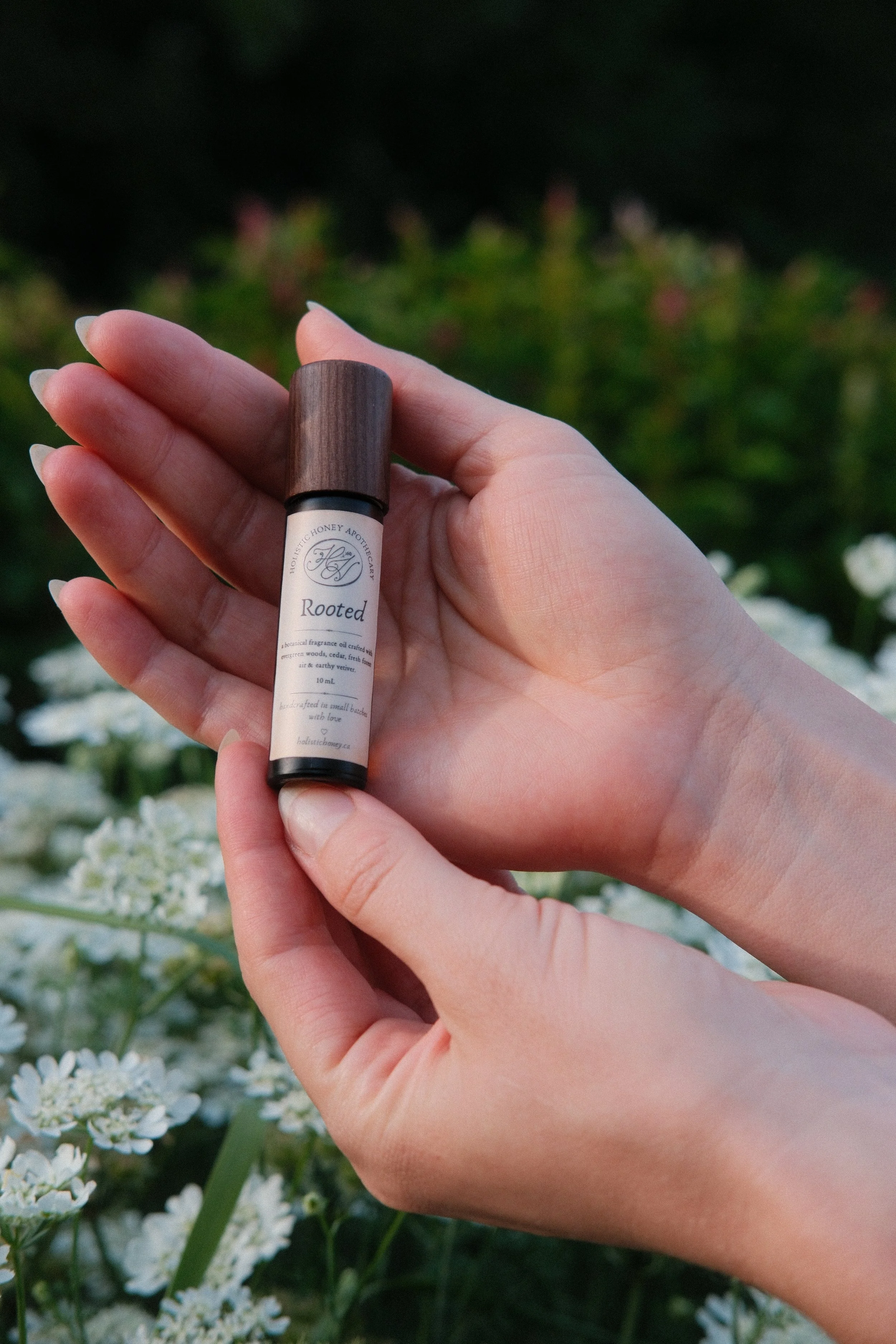 Rooted | Grounding Fragrance Oil