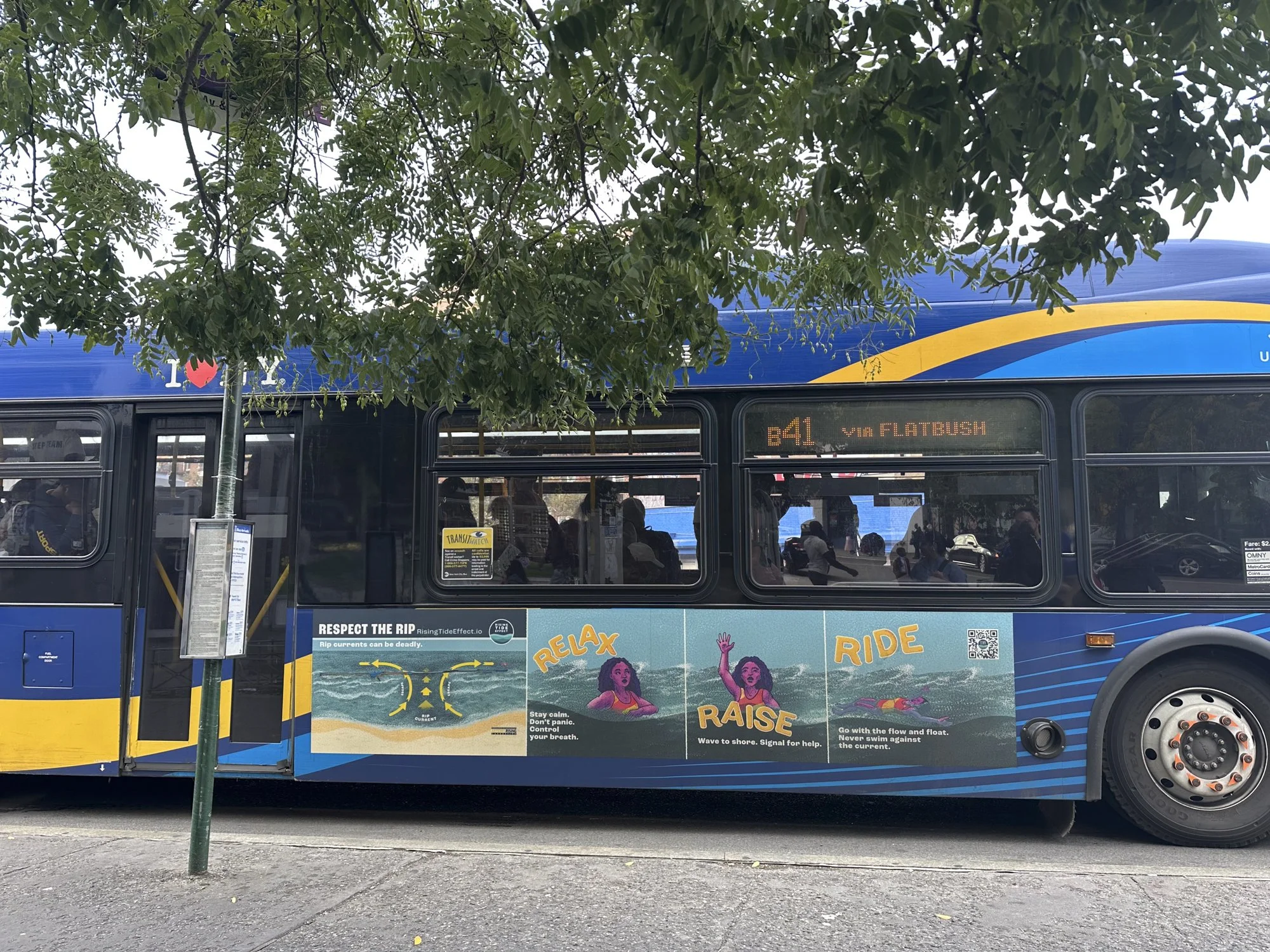 A blue public transit bus parked on the street with an advertisement on its side promoting water safety. The bus is partially obscured by a large tree with green leaves.