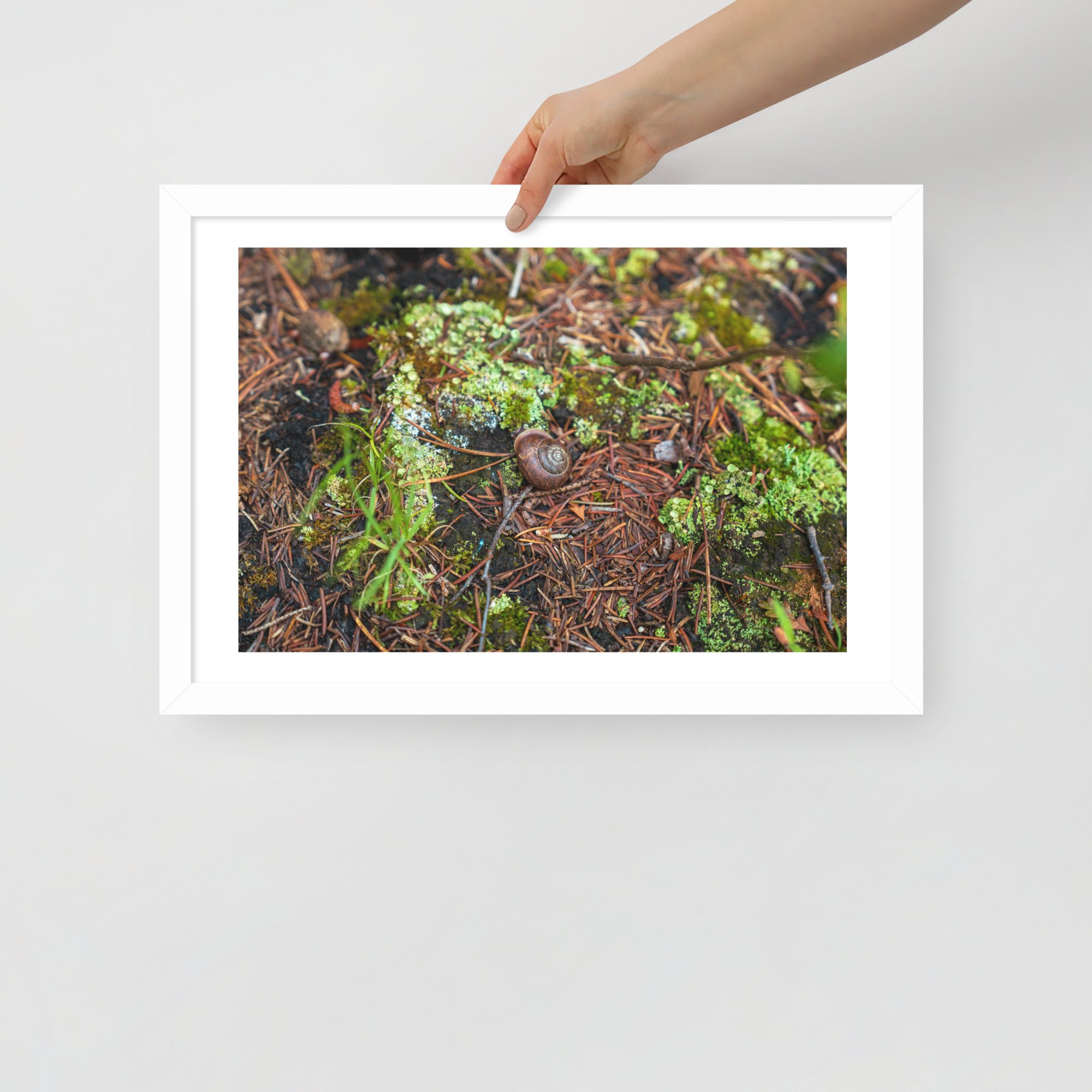 enhanced-matte-paper-framed-poster-(in)-white-12x18-front-66227a2ab78ba.jpg